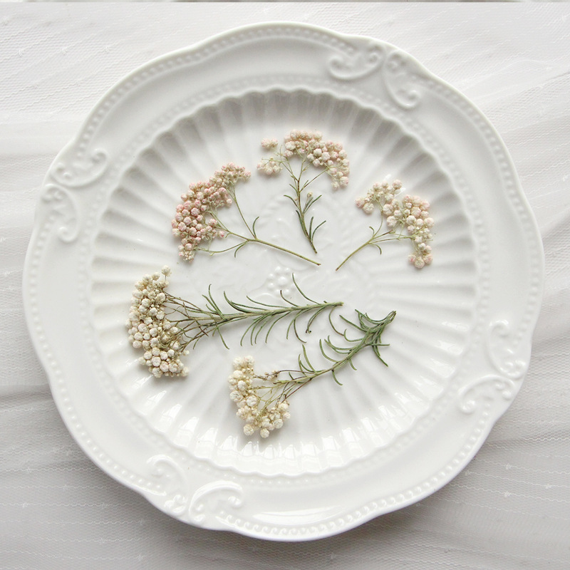 Dried Flower Bookmark - 12 шт., Натуральные сушеные ветки проса,