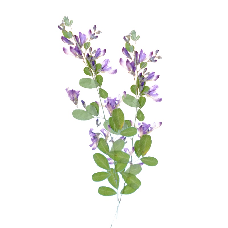6 шт., натуральные сушеные пре – обзор и цена Dried Flower Bookmark