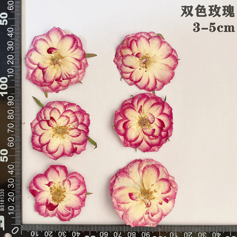 прессованные сушеные красные,  – обзор и цена Dried Flower Bookmark