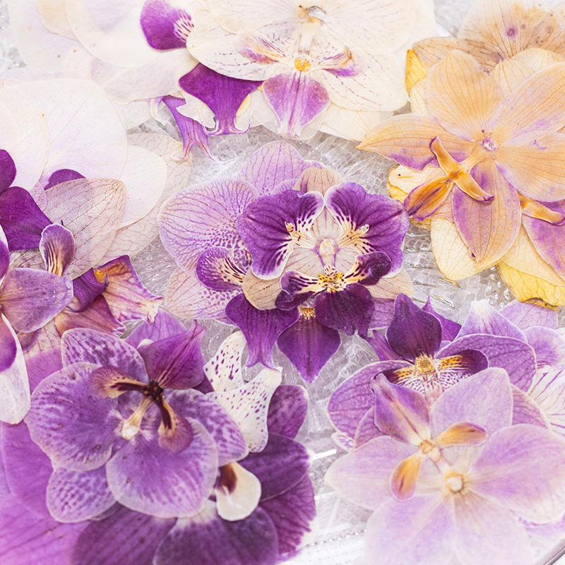 4 шт. прессованных сухих цветк – обзор и цена Dried Flower Bookmark