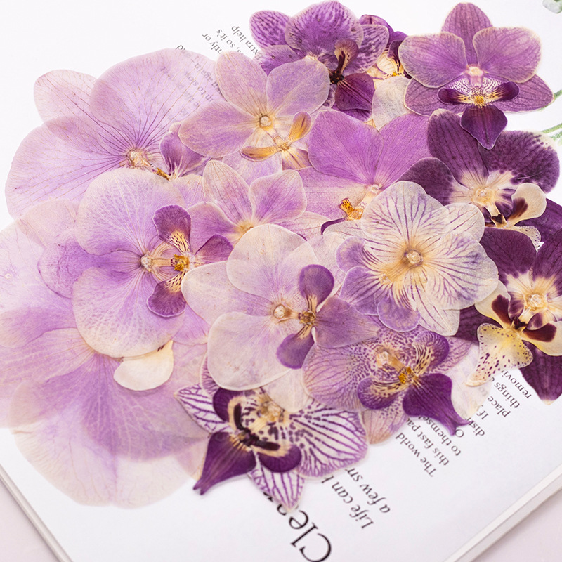 4 шт. прессованных сухих цветк – обзор и цена Dried Flower Bookmark