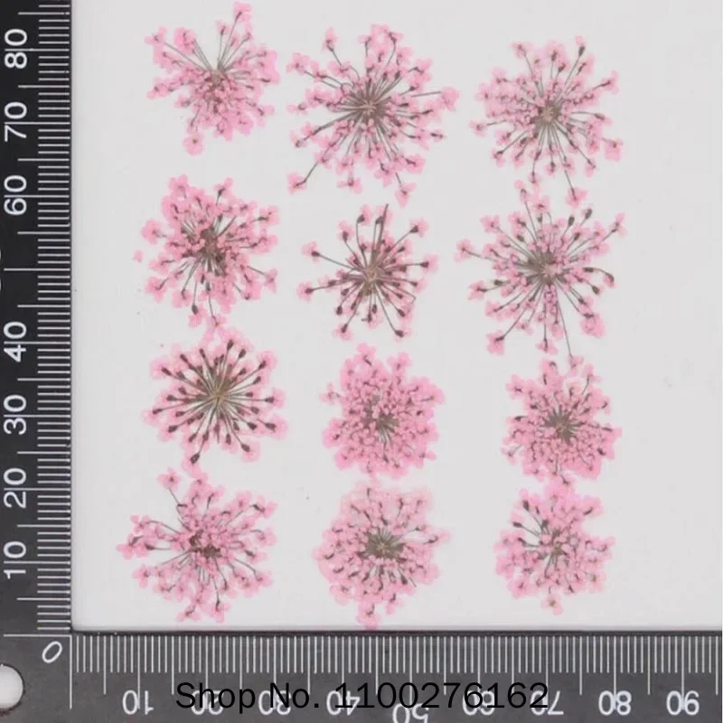 прессованные сушеные цветы Amm – обзор и цена Dried Flower Bookmark